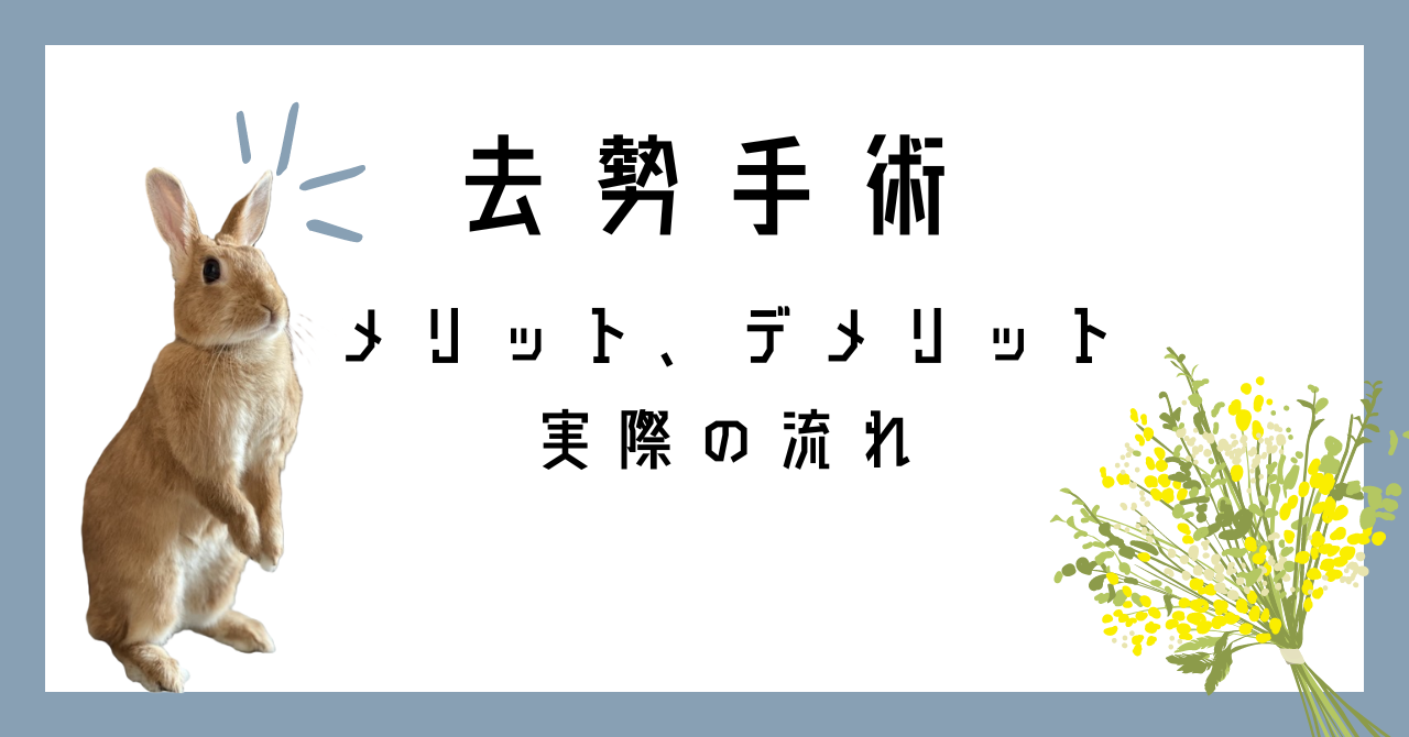 ウサギ　去勢手術　メリットデメリット